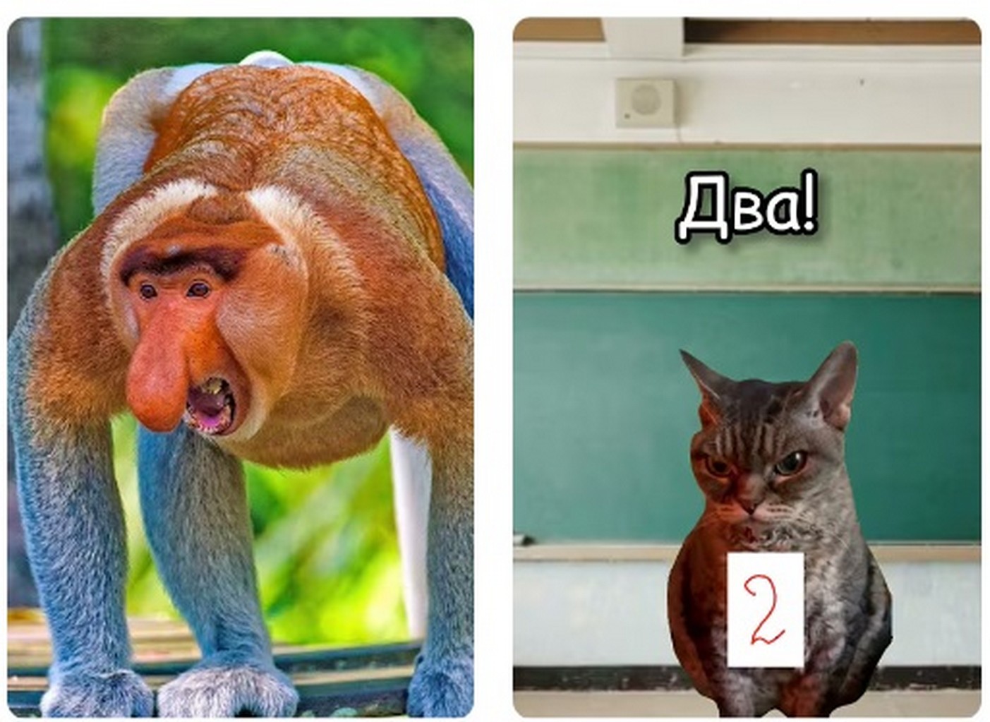 Среди популярных вариантов — Amnezia Warp Generator, который интегрируется с AmneziaVPN для мобильных и десктопных устройств. Среди популярных вариантов — Amnezia Warp Generator, который интегрируется с AmneziaVPN для мобильных и десктопных устройств 2026.