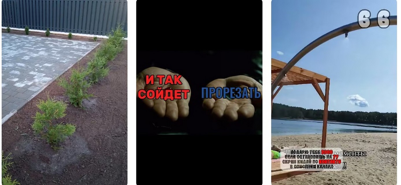 Лисичанск и Северодонецк: Звёзды Программы.