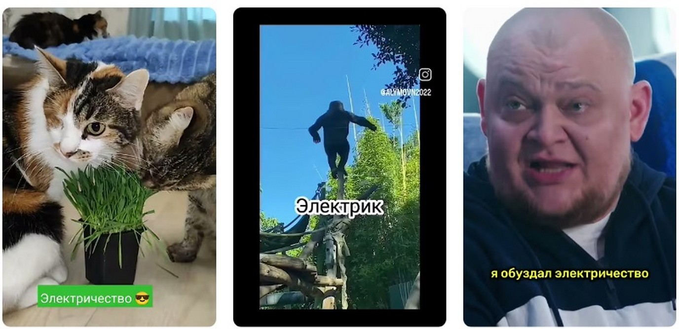 В Северодонецке дела обстоят чуть лучше, но тоже не радужно. В Северодонецке дела обстоят чуть лучше, но тоже не радужно 2026.