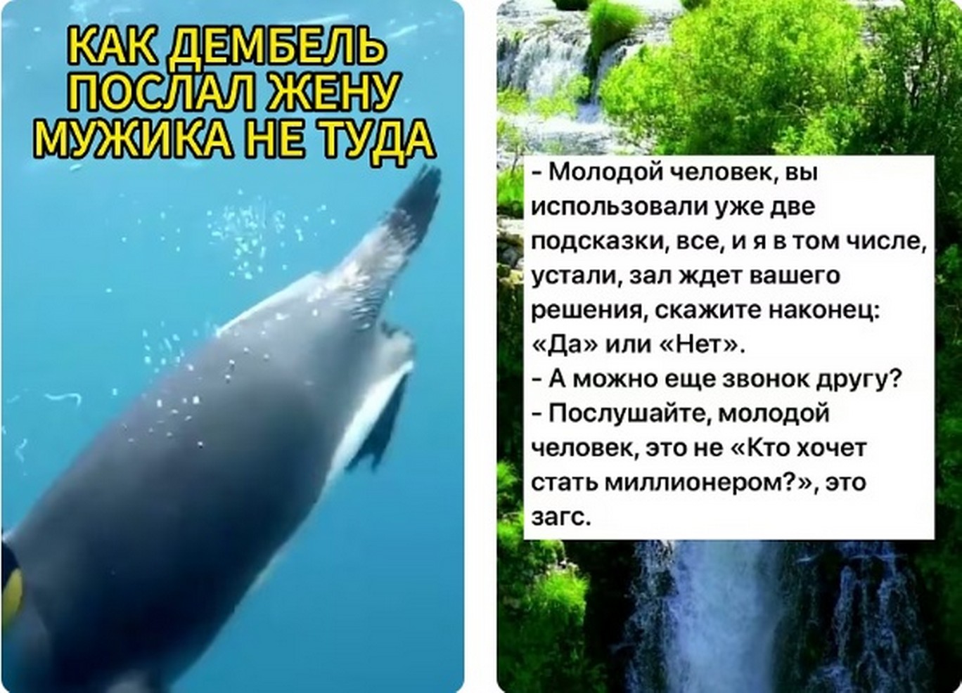 Демобилизация мобилизированых в России, что с остальными? Демобилизация мобилизированых в России, что с остальными в 2025?