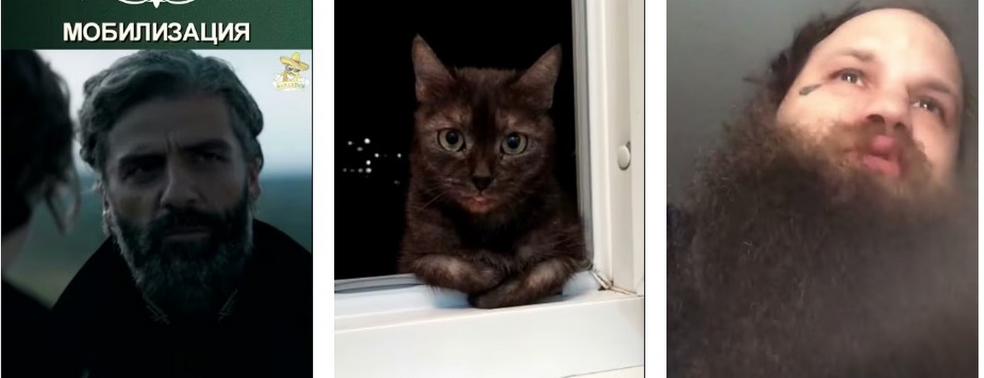 Что сказал Путин о демобилизации мобилизованных из зоны СВО? Что сказал Путин о демобилизации мобилизованных из зоны СВО 2026?