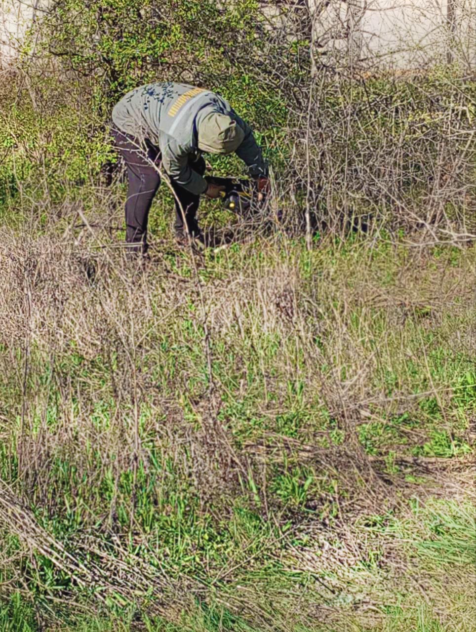 Благоустройство парка Лисичанского ДК "Ленина" Благоустройство парка возле Лисичанского ДК "Ленина"