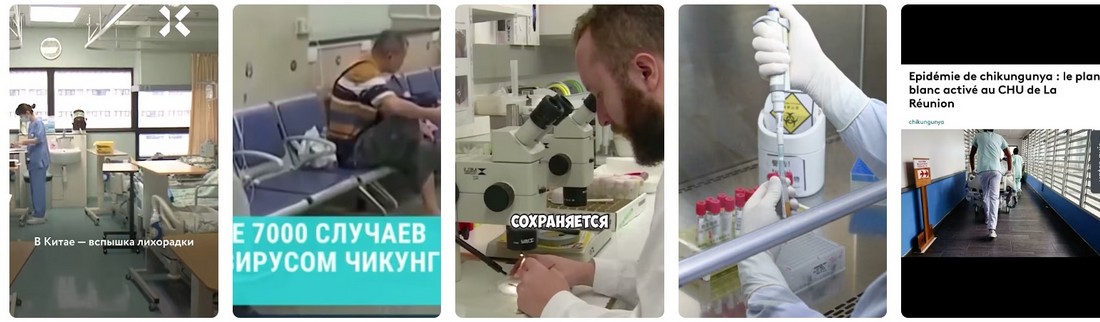 Лихорадка чикунгунья в России. Лихорадка чикунгунья в России 2025.