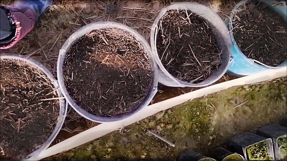 Погода в Лисичанске в Апреле и Посевной Календарь Погода в Лисичанске на Апрель Посевной Календарь