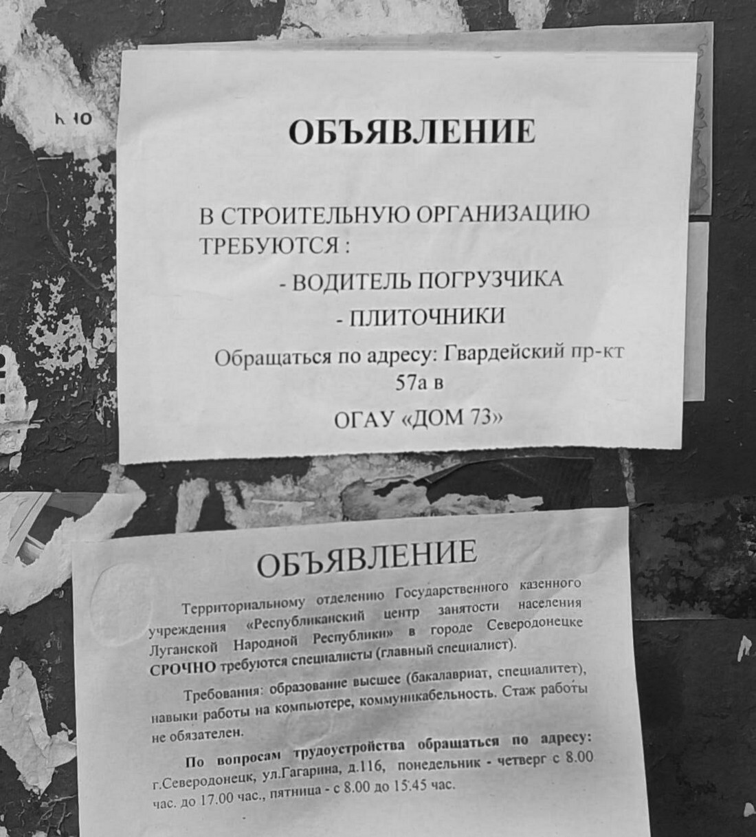 Работа Северодонецк