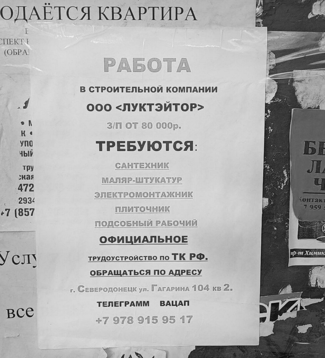 Работа в Северодонецке.