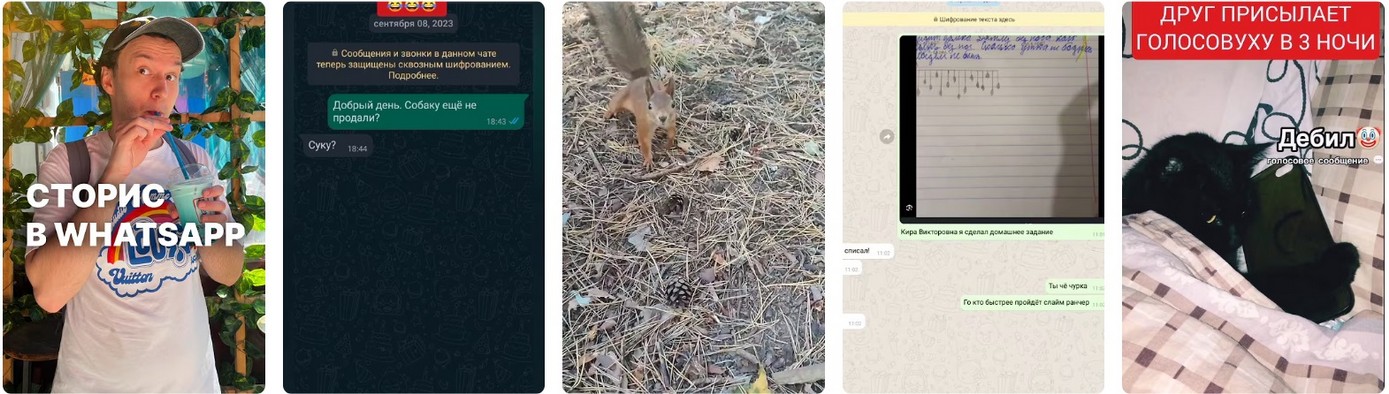 Роскомнадзор заявил, что продолжает ограничивать сервис WhatsApp 2026.