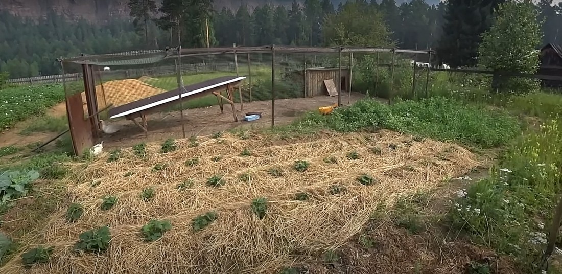 Запрет на коммерческую деятельность на дачах в России с сентября 2025 года